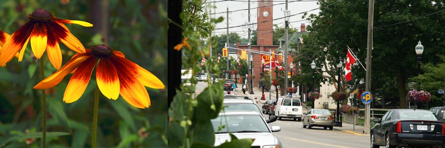 A collection of community event, business and tourism photos of Whitchurch Stouffville A collection of community event, business and tourism photos of Whitchurch Stouffville